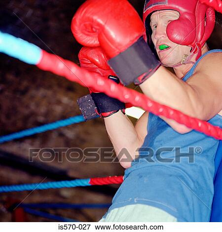 Boxer View Large Photo Image Stock Photo - Boxer. Fotosearch