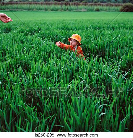 Child in field reaching out View Large Photo Image Stock Photography - Child in field reaching out. Fotosearch