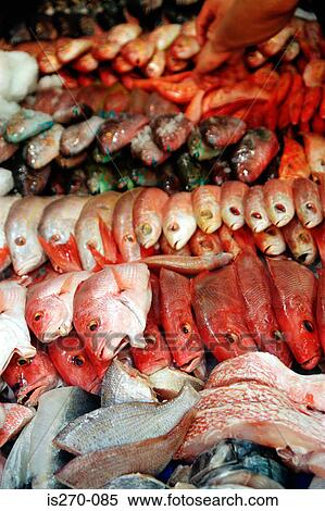 Fresh fish View Large Photo Image Stock Photography - Fresh fish. Fotosearch