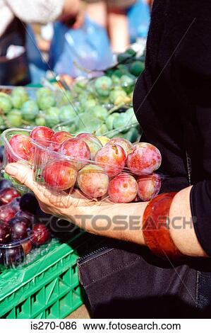 Fresh fruit View Large Photo Image Stock Photograph - Fresh fruit. Fotosearch