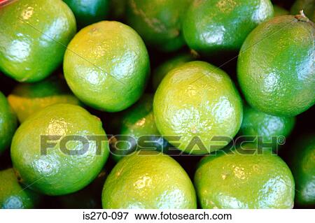 Fresh limes View Large Photo Image Stock Photo - Fresh limes. Fotosearch