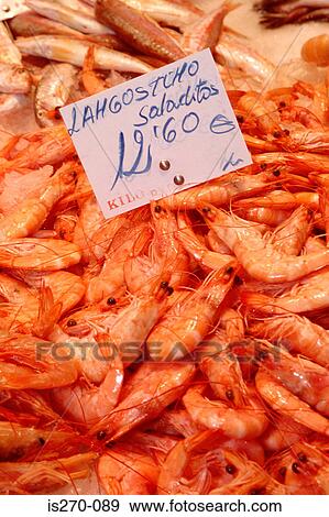 Fresh prawns View Large Photo Image Stock Photo - Fresh prawns. Fotosearch