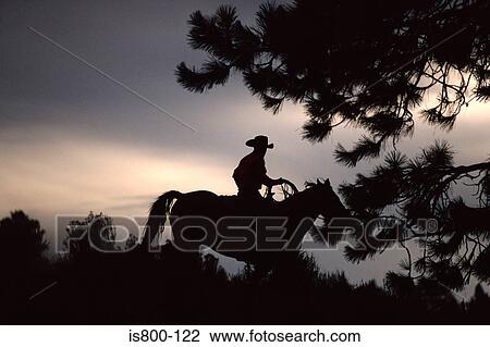 Silhouette of a cowboy View Large Photo Image Stock Image - Silhouette of a cowboy. Fotosearch