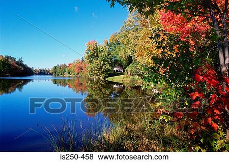 Autumn trees reflected in river View Large Photo Image Stock Photo - Autumn trees reflected in river. Fotosearch