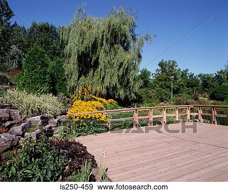 Deck and plants in garden View Large Photo Image Stock Photo - Deck and plants in garden. Fotosearch