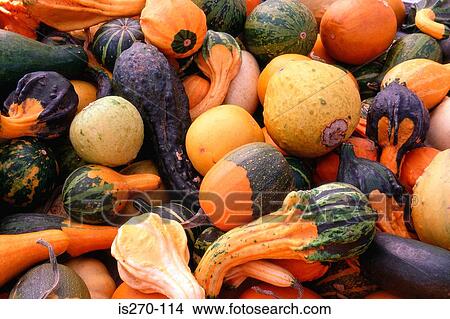 Rotting fruit and vegetables View Large Photo Image Picture - Rotting fruit and vegetables. Fotosearch