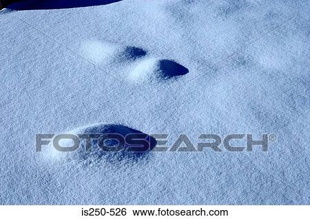 Footprint in snow View Large Photo Image Stock Photograph - Footprint in snow. Fotosearch