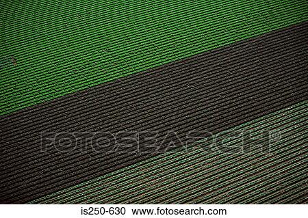 Aerial view of arable farm View Large Photo Image Stock Image - Aerial view of arable farm. Fotosearch