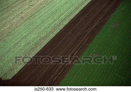 Aerial view of arable farm View Large Photo Image Stock Image - Aerial view of arable farm. Fotosearch