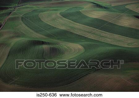 Aerial view of arable farm View Large Photo Image Stock Photograph - Aerial view of arable farm. Fotosearch