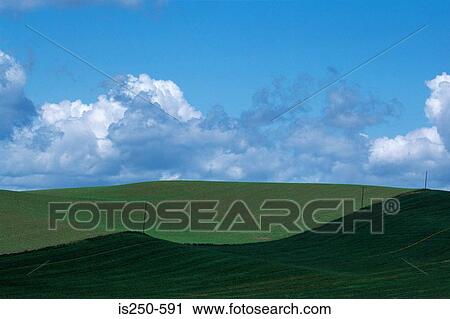 Stock Image - Arablew farm and horizon. Fotosearch