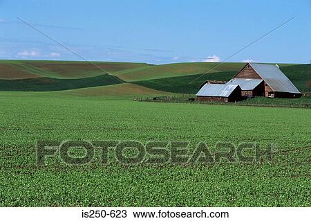 Barn on arable farm View Large Photo Image Stock Image - Barn on arable farm. Fotosearch