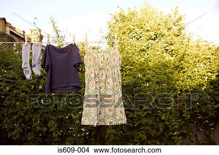 Clothesline in garden View Large Photo Image Picture - Clothesline in garden. Fotosearch