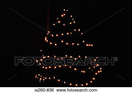 Illuminated chrisatmas tree View Large Photo Image Stock Photograph - Illuminated chrisatmas tree. Fotosearch