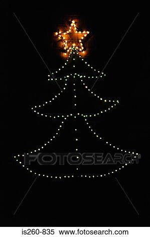 Illuminated christmas tree View Large Photo Image Stock Photography - Illuminated christmas tree. Fotosearch