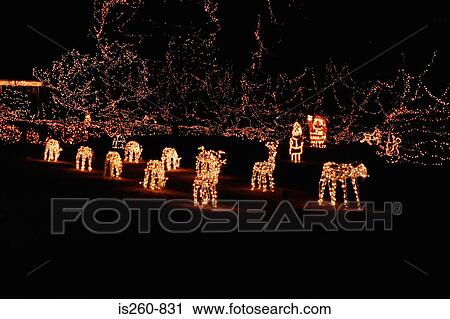 Illuminated father christmas in garden View Large Photo Image Stock Image - Illuminated father christmas in garden. Fotosearch