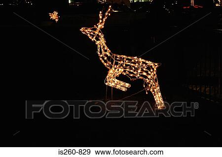 Illuminated reindeer View Large Photo Image Stock Photo - Illuminated reindeer. Fotosearch
