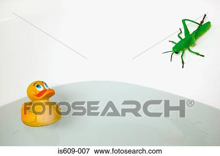 Stock Photo - Locust and rubber duck in bathtub. Fotosearch