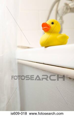 Rubber duck on edge of bath View Large Photo Image Stock Photo - Rubber duck on edge of bath. Fotosearch
