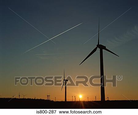 Stock Photo - Wind farm at sunset. Fotosearch