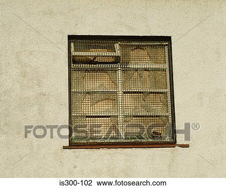 A boarded up window View Large Photo Image Stock Image - A boarded up window. Fotosearch