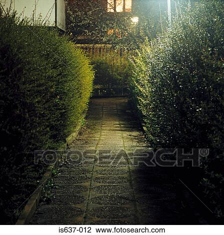 A path at night View Large Photo Image Stock Image - A path at night. Fotosearch