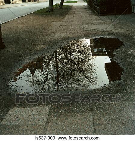 A puddle on the pavement View Large Photo Image Stock Photo - A puddle on the pavement. Fotosearch