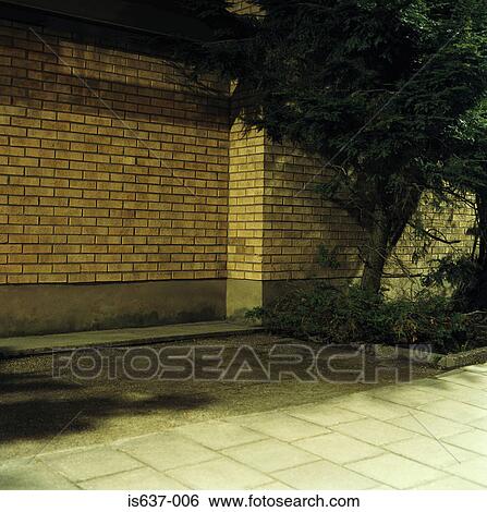 A street at night View Large Photo Image Stock Photograph - A street at night . Fotosearch