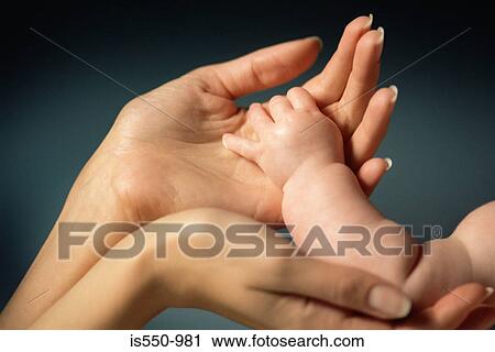 Adult holding baby's hand View Large Photo Image Stock Image - Adult holding baby's hand. Fotosearch