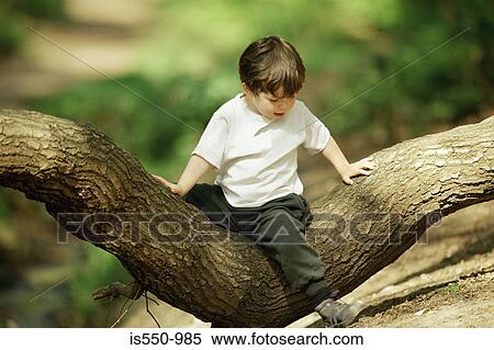 Boy sitting in a tree View Large Photo Image Stock Photography - Boy sitting in a tree. Fotosearch
