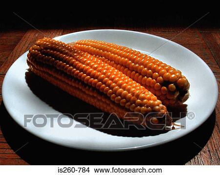 Corn on the cobb View Large Photo Image Picture - Corn on the cobb. Fotosearch