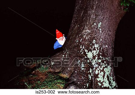 Garden gnome hidding behind tree View Large Photo Image Stock Image - Garden gnome hidding behind tree. Fotosearch