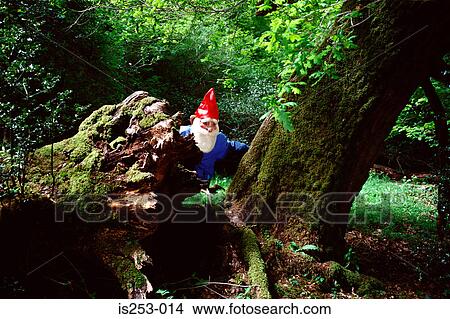 Picture - Garden gnome hiding behind tree. Fotosearch