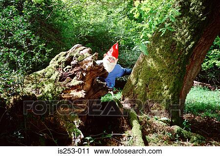 Garden gnome hiding behind tree View Large Photo Image Stock Image - Garden gnome hiding behind tree. Fotosearch