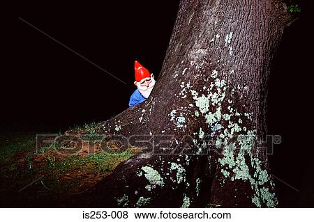 Stock Photo - Garden gnome hiding behind tree. Fotosearch