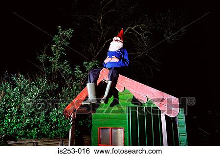 Garden gnome on garden shed roof View Large Photo Image Stock Photograph - Garden gnome on garden shed roof. Fotosearch
