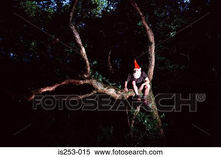 Stock Photography - Garden gnome on tree. Fotosearch