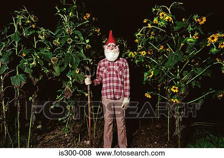 Gnome holding a rake View Large Photo Image Stock Photo - Gnome holding a rake. Fotosearch