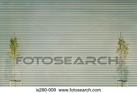 Shutter and two trees View Large Photo Image Stock Photo - Shutter and two trees. Fotosearch