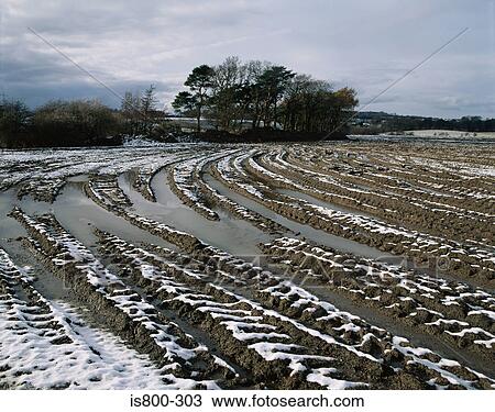Snow on a ploughed field View Large Photo Image Stock Image - Snow on a ploughed field. Fotosearch