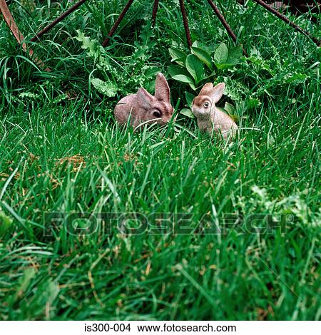 Two toy rabbits in the grass View Large Photo Image Picture - Two toy rabbits in the grass. Fotosearch