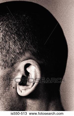 Stock Image - Close-up view of man's ear. Fotosearch