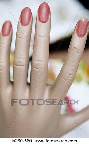 Dummy's hand View Large Photo Image Stock Image - Dummy's hand. Fotosearch