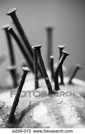 Embedded nails View Large Photo Image Stock Image - Embedded nails. Fotosearch