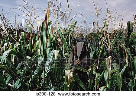 Grim reaper disguised in a corn field View Large Photo Image Stock Photo - Grim reaper disguised in a corn field. Fotosearch