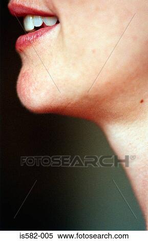 Profiled female chin View Large Photo Image Stock Photography - Profiled female chin . Fotosearch