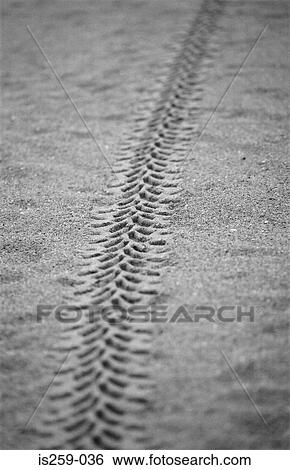 Track in the sand View Large Photo Image Stock Photograph - Track in the sand. Fotosearch