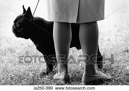 Stock Photo - Woman with dog in park. Fotosearch