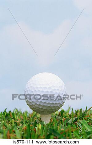 Golf ball and tee in grass View Large Photo Image Stock Image - Golf ball and tee in grass. Fotosearch