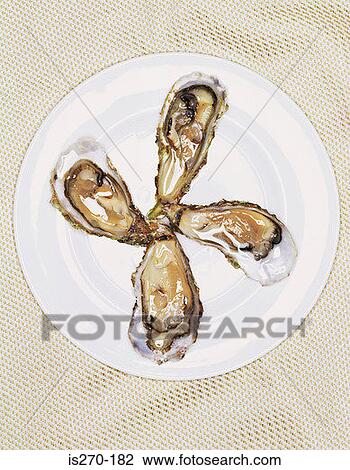 Plate of oysters View Large Photo Image Stock Image - Plate of oysters. Fotosearch